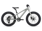 2021 STP 20 Boys - In Store Pick Up Only freeshipping - Onlinebike.store