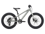 2021 STP 20 Boys - In Store Pick Up Only freeshipping - Onlinebike.store