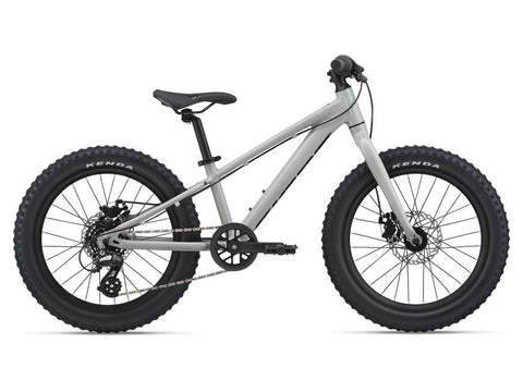 2021 STP 20 Boys - In Store Pick Up Only freeshipping - Onlinebike.store