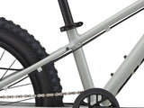2021 STP 20 Boys - In Store Pick Up Only freeshipping - Onlinebike.store