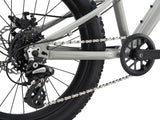 2021 STP 20 Boys - In Store Pick Up Only freeshipping - Onlinebike.store