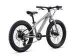 2021 STP 20 Boys - In Store Pick Up Only freeshipping - Onlinebike.store