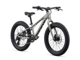 2021 STP 20 Boys - In Store Pick Up Only freeshipping - Onlinebike.store
