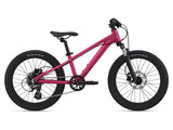 2021 STP 20 FS Girls - In Store Pick Up Only freeshipping - Onlinebike.store