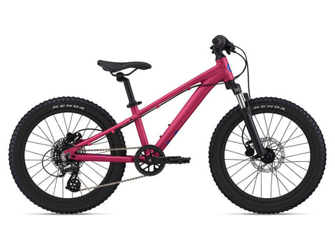 2021 STP 20 FS Girls - In Store Pick Up Only freeshipping - Onlinebike.store