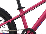 2021 STP 20 FS Girls - In Store Pick Up Only freeshipping - Onlinebike.store