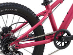 2021 STP 20 FS Girls - In Store Pick Up Only freeshipping - Onlinebike.store