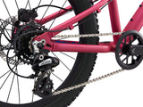 2021 STP 20 FS Girls - In Store Pick Up Only freeshipping - Onlinebike.store