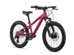 2021 STP 20 FS Girls - In Store Pick Up Only freeshipping - Onlinebike.store