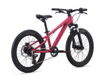 2021 STP 20 FS Girls - In Store Pick Up Only freeshipping - Onlinebike.store