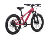 2021 STP 20 FS Girls - In Store Pick Up Only freeshipping - Onlinebike.store